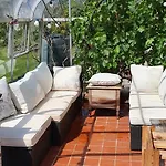 Проживание в семье Rosemount Слайго