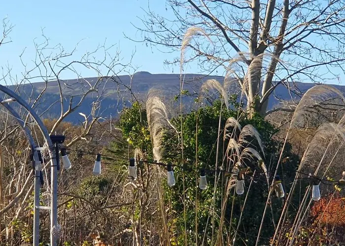 Rosemount 슬라이고